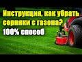 Как удалить СОРНЯКИ на газоне? Когда и чем  обработать? ПОДРОБНАЯ ИНСТРУКЦИЯ. Одуванчики на газоне.