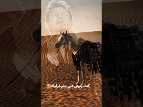 هاني شاكر كفاية