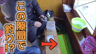 わずか30cmのすき間に餌を落とすと・・・
