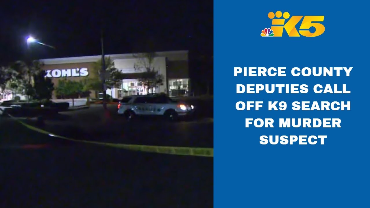 Pierce County deputies call off K-9 search for murder suspect, cite new ...