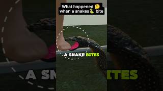 What Really Happens When a Snake Bites? 🐍😳