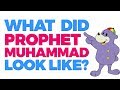 What Did Muhammad (saws) Look Like? - Learning with Zaky Series