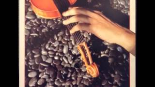 L. Shankar - Touch Me There (full album)