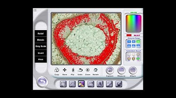 Elem Microscope Software   Getting Started