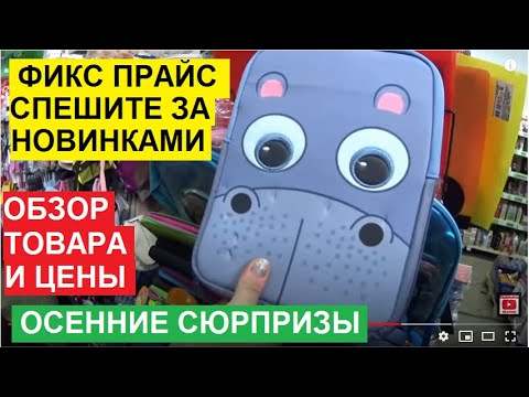 ФИКС ПРАЙС. КЛАССНЫЕ НОВИНКИ ВПЕРВЫЕ НА ПОЛКАХ МАГАЗИНА FIX PRICE. ОБЗОР ТОВАРА И ЦЕН. СПЕШИМ КУПИТЬ