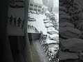 Manali is Calling, Don’t miss the opportunity… #Chalo_Manali_2025#snowfall #travel #nature #manali