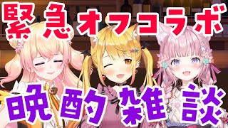 【緊急オフコラボ】先輩2人お持ち帰りしちゃいました晩酌雑談【博衣こより/ホロライブ】