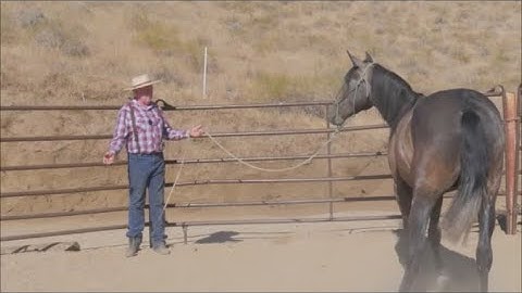 Chinaco - Teaching Him to Pick Me Up Pt 1