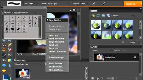 Photoshop Elements 9.0 Tutorial Loading New Brushsets Adobe Training Lesson 7.2