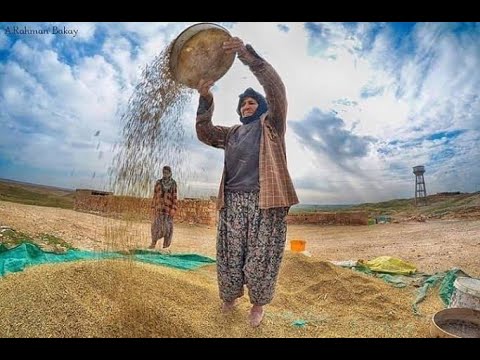 Aşık Arif Gülcani / ANA YORULDUM