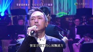 【HD】Steve Wong 黃家強 - 海濶天空 - 明愛暖萬心 2015