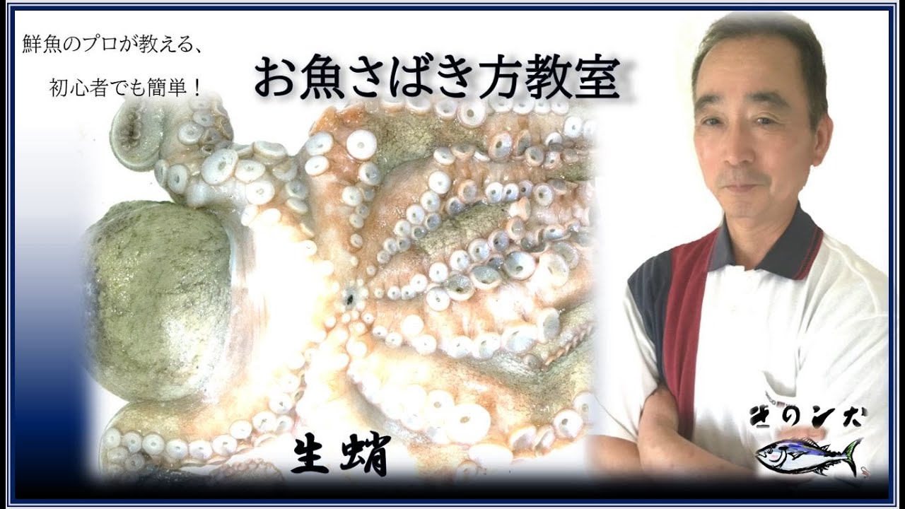 生ダコ タコ のさばき方part1 初心者用 内臓を取り除き塩揉み 生ダコ刺し 茹ダコ刺し By鮮魚店 きのした生魚店 広島県東広島市西条 21 How To Fillet Octopus Youtube