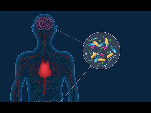 Video: Link Found Between Stroke And Gut Microbiome