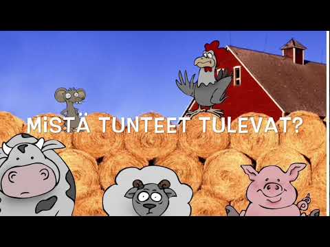 Mistä tunteet tulevat?