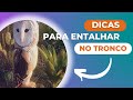 Dicas para entalhar esculturas no tronco