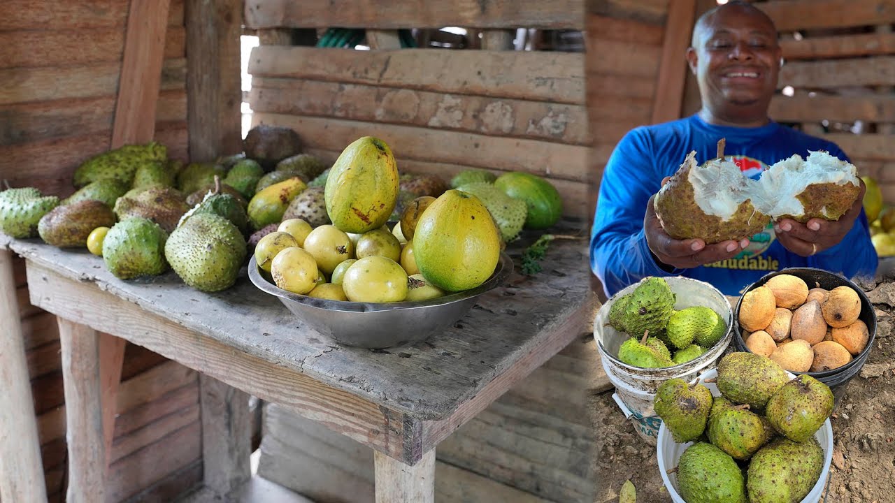 Increible Como se Pierden la Frutas en este Campo