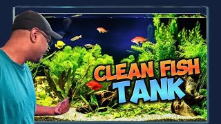 American Desi trucker || How to clean 10 gallon fish tank