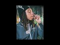 [FREE] Chuckyy X Lucki Sample Type Beat "Summertime Sadness"