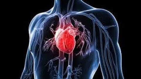 [ Chẩn đoán hình ảnh ] LT Modun Tim mạch