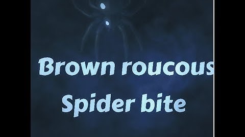 FATAL SPIDER BITE!  EMERGENCY| Part.2