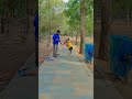 drop ball drive prectice #dropball #driveprectice #coverdrive #cricketshorts #freecricketcoaching