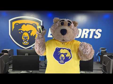 WVU Tech S Monty The Golden Bear Now Has GIFs Stickers 