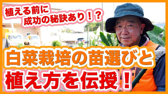 鍬の種類