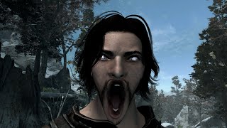 Skyrim: A Flawless Game With Zero Issues Whatsoever