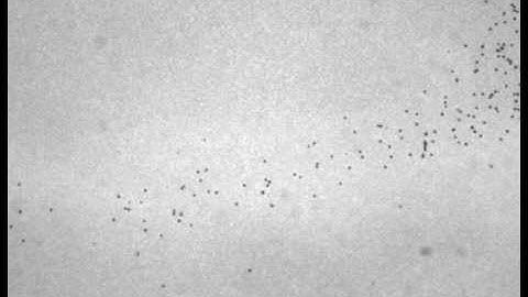 OverInjected Particles:  6SLM Carrier Gas Flow Rate