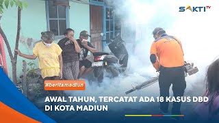 Madiun  Awal Tahun Tercatat Ada 18 Kasus Dbd Di Kota Madiun