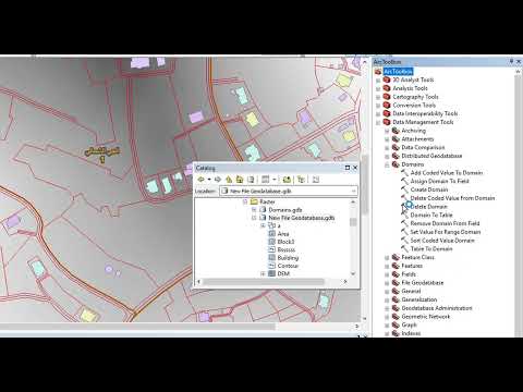 Domain To Table Tool ArcMap
