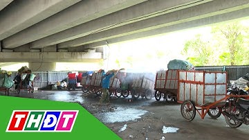 Cần Thơ: Khắc phục tình trạng ô nhiễm từ bãi tập kết rác tạm | THDT