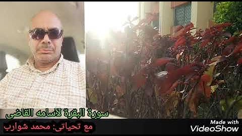 حصنوا بيوتكم بقراءة سورة البقرة مع الجزء الأول والقارئ اسامه القاضى (1)