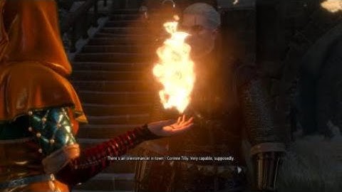 The Witcher 3: Wild Hunt – Triss Bug