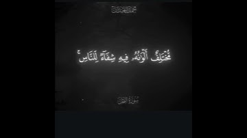 محمد اللحيدان سوره النحل