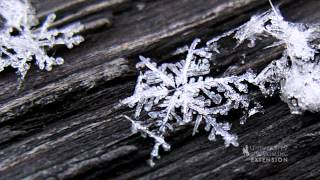 How do Snowflakes Form?