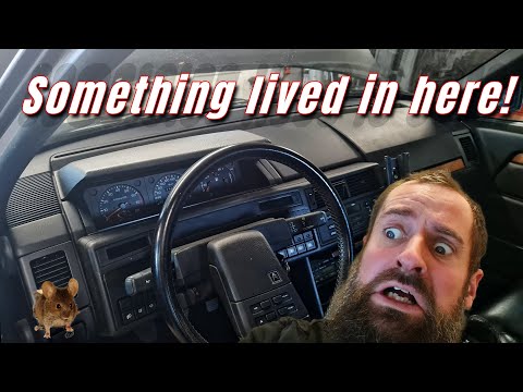 Citroën XM V6 24V I Found A Nest