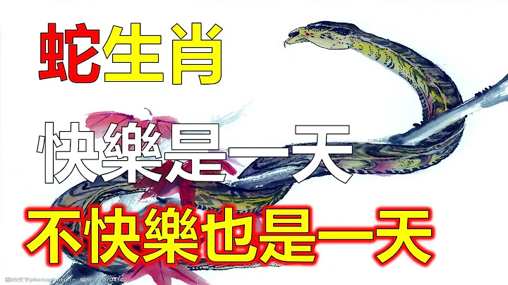 生肖蛇2023年田宅宫刚好有吉星，属蛇之人未来3个月获得职场高位，财来福到，属蛇人为人志气高昂，计谋出众，属蛇人一生近贵，生肖蛇女命主寿，一生无亏。十二生肖，2023年12生肖运势，生肖运势（生肖蛇） - 天天要闻