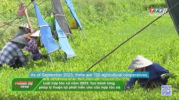 Luật Hợp tác xã năm 2023 tạo hành lang pháp lý thuận lợi phát triển cho các hợp tác xã | REPORTAGE