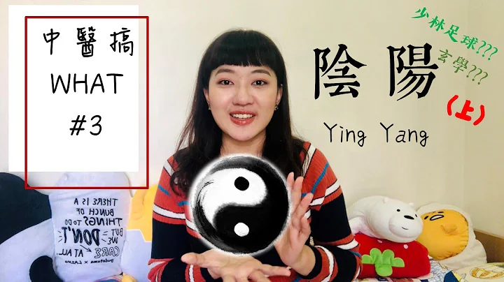 陰陽是什麼??!!(上) 是玄學?? 跟少林足球有關??? /// 中醫搞WHAT #3 - 天天要聞