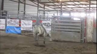 s6 102017