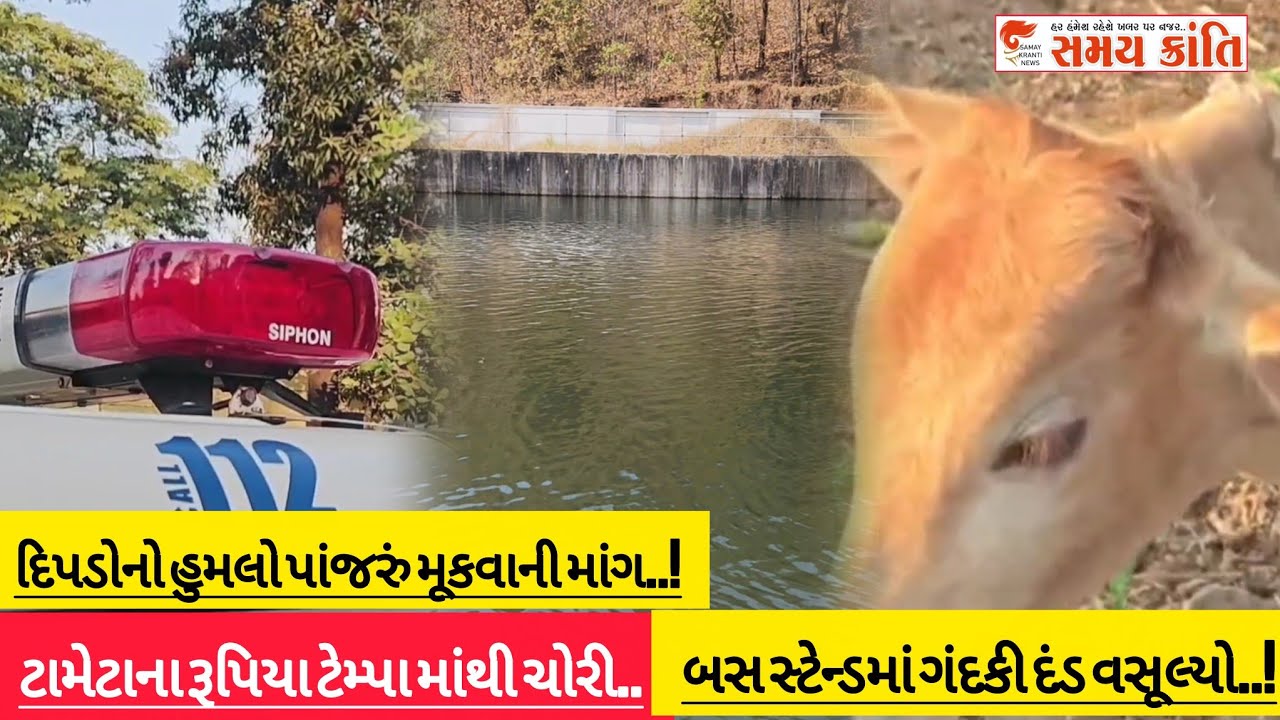 TAPI ટામેટા વેચી રૂપિયા ટેમ્પામાં મુક્યા અને થઈ ચોરી તો ગંદકી કરનારા સામે દંડ જુઓ|SAMAY KRANTI NEWS|