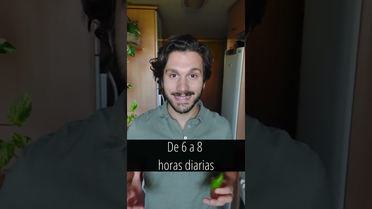 🫑¿Los has probado? #Galicia #pimientos #plantas #chicoplantas #ignacioguio