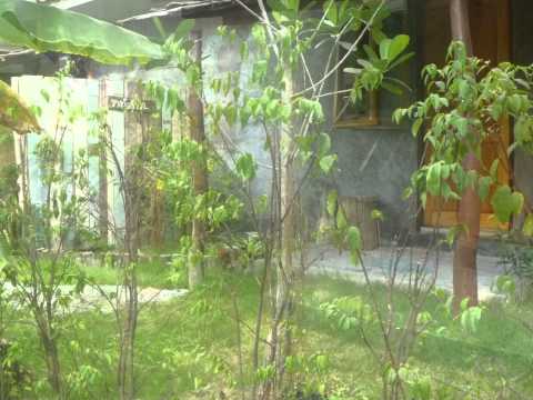 ปางไม้งามรีสอร์ท ตัวเมืองระยอง