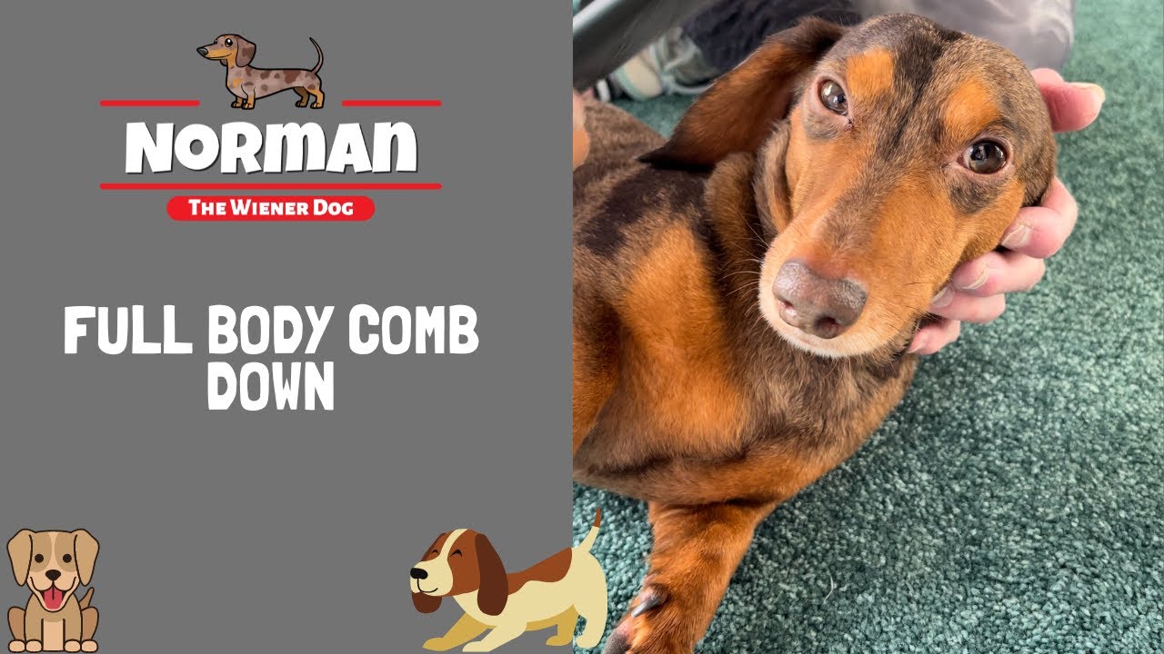 Full Body Comb Down 🤤😴 - YouTube