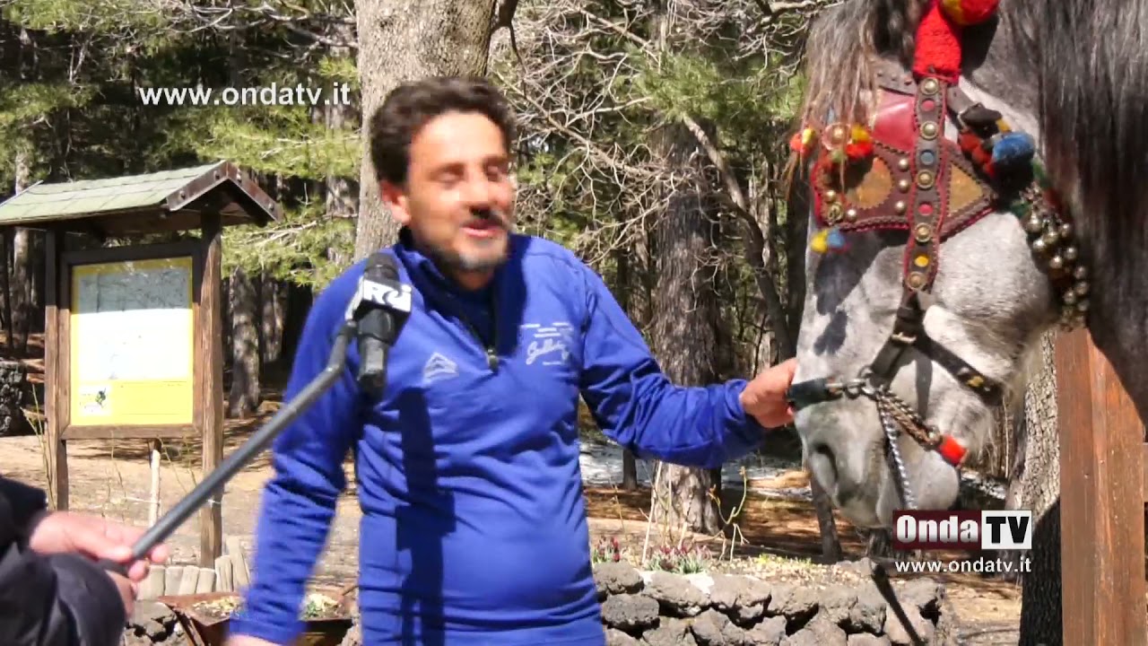 Si è concluso dopo sei giorni il pellegrinaggio con il carretto siciliano di Nino Buttitta