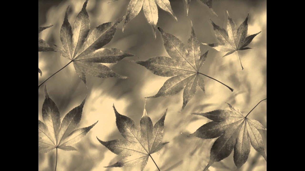 Jackson Browne-Fountain of sorrow with lyrics Jackson Browne-Fountain of sorrow with lyrics