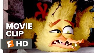 The Angry Birds Movie Movie CLIP - House of Horrors (2016) - Jason Sudeikis, Josh Gad Movie HD The Angry Birds Movie Movie CLIP - House of Horrors (2016) - Jason Sudeikis, Josh Gad Movie HD