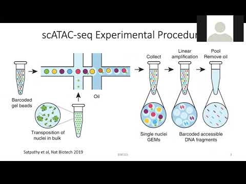 Vídeo: Single-cell ATAC-seq: Fuerza En Números