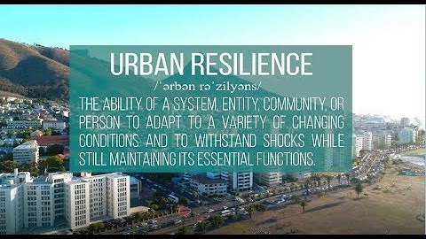 What Works to Make Cities More Resilient?